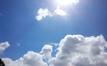 看天气预报教案最新8篇