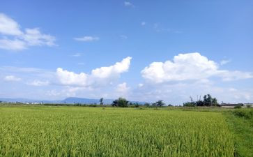 看天气预报教案5篇