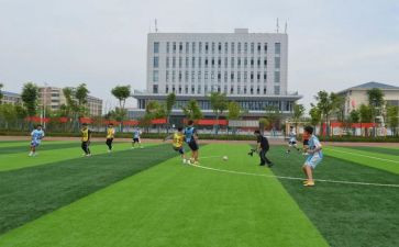 小学体卫艺工作计划5篇