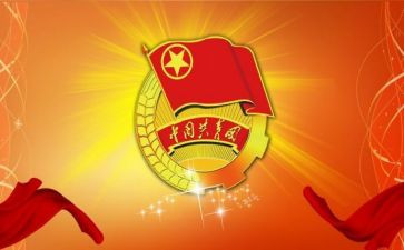 团代表个人总结5篇
