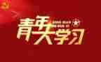 学校团青工作总结8篇