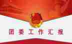 年团委工作计划参考8篇
