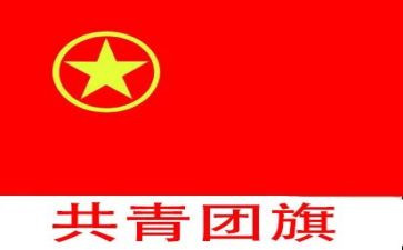 团委日活动总结8篇