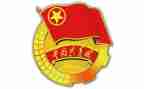 2024年团支部书记述职报告6篇
