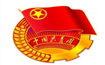 团支部工作年度总结精选5篇
