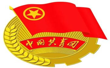 团支部工作年度总结推荐8篇