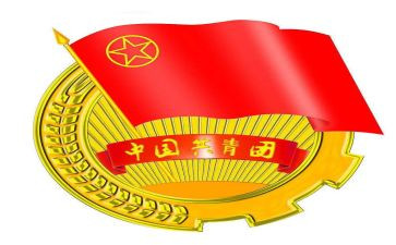 团支部工作年度总结5篇