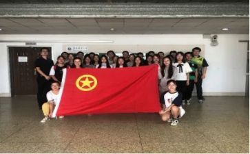 组织团组织活动总结8篇