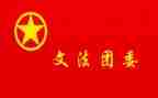团组织委员的工作总结6篇