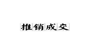 推销员工作总结5篇