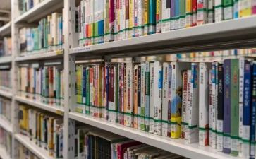 学校的图书馆的工作总结7篇