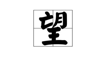我的愿望600字作文5篇
