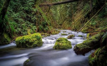 我忘不了他400字作文6篇