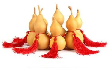 挂葫芦的心得体会7篇