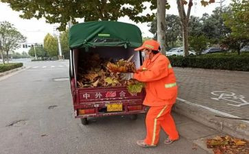 环卫工作总结及范文7篇