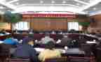 2023年村委会半年总结8篇
