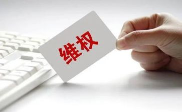 维权月活动的总结8篇