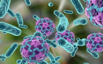 检验科微生物组个人总结7篇