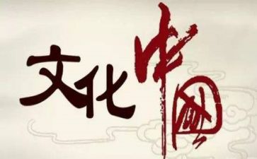 文化活动个人总结6篇