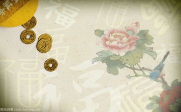 局文化活动活动总结5篇