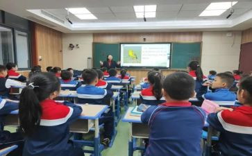 2024语文课标心得体会6篇