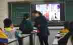 小学语文课文桥教案6篇