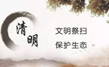 文明祭扫活动总结5篇