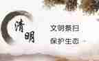 文明祭扫活动总结5篇
