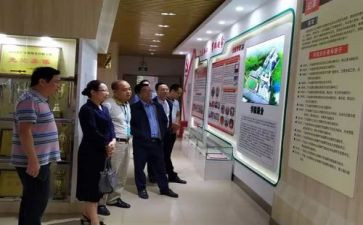 语文培训总结小学7篇