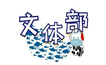 文体队活动总结9篇