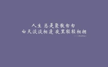 文字工作工作总结8篇
