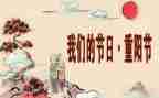 2024年我们的节日活动总结精选5篇