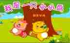 养小鸟的作文300字5篇