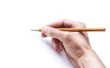 我想变成鸟作文500字7篇