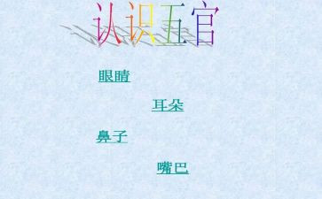 五官科2024年护理工作计划5篇