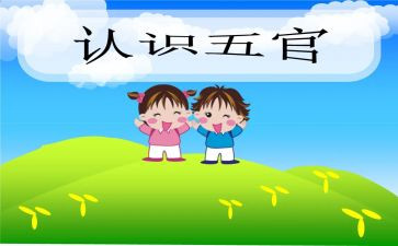 五官科护士个人总结8篇