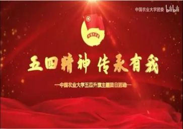 五四活动团日活动总结8篇