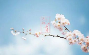小学五月份的工作总结8篇