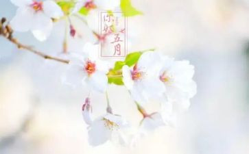 幼儿园五月份月总结8篇