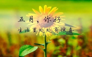 教师五月工作总结8篇