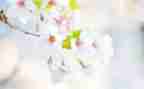 幼儿园五月份月总结8篇