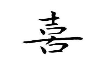 我喜欢的花荷花作文通用8篇