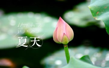 2023的夏令营活动总结8篇