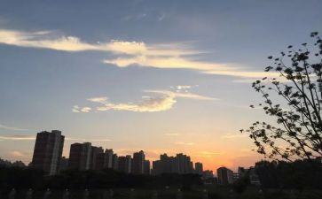5年级下班主任工作总结6篇