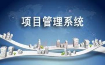 项目年度个人总结6篇