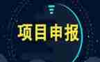 项目部年度个人工作总结6篇