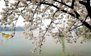 想起你作文800字5篇