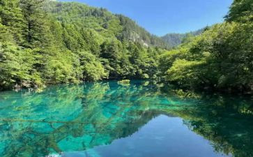 我的先生读后感通用7篇