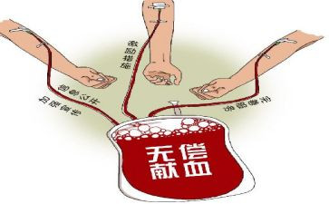 献血月活动总结6篇