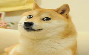 笑声——作文参考7篇